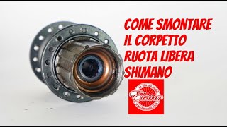 Come fare manutenzione al corpetto ruota libera Shimano [upl. by Yessej]