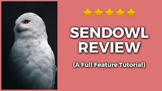 Sendowl Review amp Tutorial 🚨Watch This Demo First 👉 Is SendOwl Worth It [upl. by Oer]