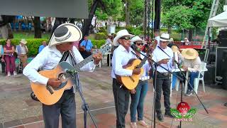 LOS ALEGRES DEL CAMPO CONCURSO DE MÚSICA DE CUERDAS CAMPESINA FERIAS Y FIESTAS PLANADAS TOLIMA [upl. by Nagy]