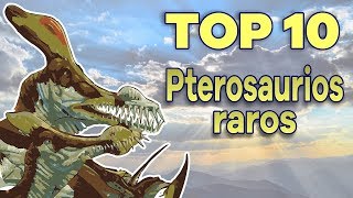 Top 10 Pterosaurios raros [upl. by Herby]