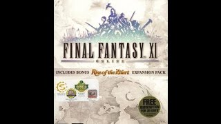 Final Fantasy XI  Private Server issue [upl. by Tonie527]