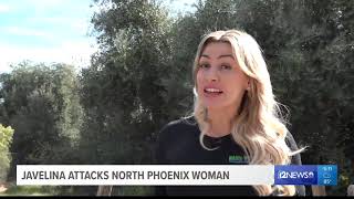 It tore all the tendons in my left arm I couldnt move my fingers Javelina attacks Phoenix woman [upl. by Ube]