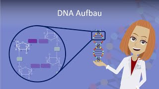 DNA Aufbau leicht erklärt [upl. by Lehsreh]