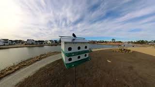 Riverlights gets 3 Purple Martin Houses [upl. by Perrin62]