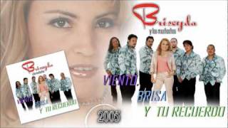 Briseyda Solis  Amigos Nadamas Audio Oficial [upl. by Anaert]