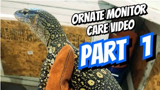 Ornate Monitor Care Part 1 [upl. by Trenton]