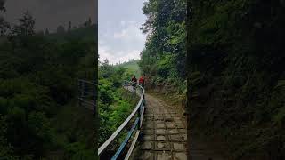 Rock Garden  Darjeeling [upl. by Anirrehs]