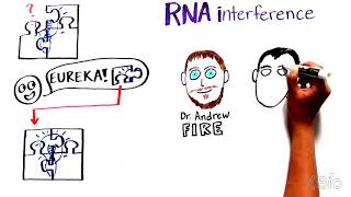 What is RNA interference RNAi [upl. by Raney]