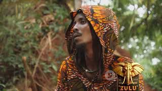 Rastafarian Culture  The Roots of Reggae Music Free Documentary [upl. by Sparrow]