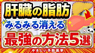 【最新】肝臓の脂肪をごっそり落とす方法5選（脂肪肝 脂質異常症） [upl. by Goodard]