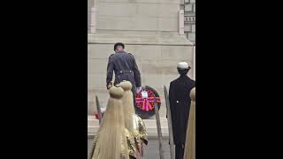 Prince William lays wreath at the cenotaph [upl. by Darken274]