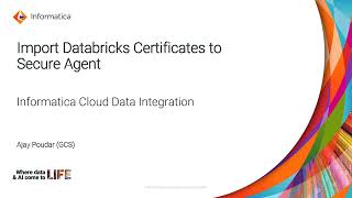 How to Import Databricks Certificates to Secure Agent in IICS [upl. by Ikaz930]