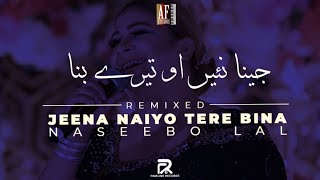 Jeena Naiyo Tere Bina  Naseebo Lal  Disco Remix  2024 [upl. by Adnilav]