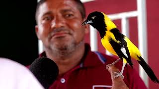 O HOMEM QUE ENSINOU O PASSARINHO CANTAR O HINO NACIONAL [upl. by Llewoh]