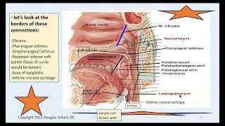 Pharyngeal and Esophageal Anatomy  Some Related PathologyGERD [upl. by Annia]