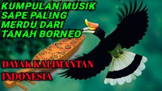 MUSIK SAPE DAYAK BORNEO TERBARU Fishing Trip Journey With All My Best friends [upl. by Annelg900]