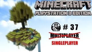 MINECRAFT PS3 EDITION 37 ▶ Immer nur Probleme Deutsch HD [upl. by Adnohsor579]