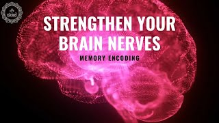 Hippocampus Brain  Expand Your Sensory Response  Memory Encoding  Strengthen Your Brain Nerves [upl. by Jereld758]