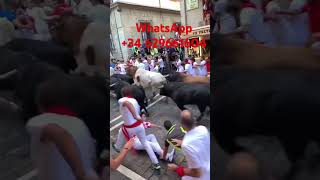 Pamplona sanfermin pamplonada yfm runningofthebulls spain travel traveltospain encierro [upl. by Fidela138]