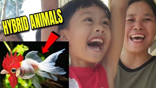 Ito ang nakakatawa hulaan mo lang  All about hybrid animals part 1  Edoy and Therrence Tv [upl. by Ydnik713]