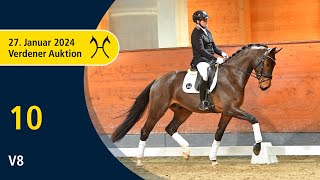 Verden Auction Online  Sporthorses  Jan 27  No 10 V 8 by Valdiviani  Jazz [upl. by Richers]