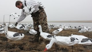 Goose Hunting with White Rock Windsock Decoys [upl. by Sudnac]