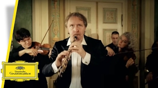 Albrecht Mayer  Hoffmeister  Concerto For Oboe And Orchestra Music Video [upl. by Wartow]