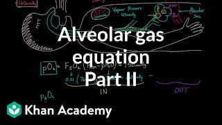 Alveolar gas equation  part 2  Respiratory system physiology  NCLEXRN  Khan Academy [upl. by Mersey]