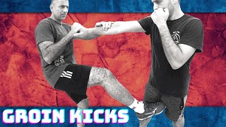 Groin Kicks with Kicking Combos  Martial Arts Kicking Defense [upl. by Juliane39]