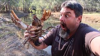 biggest male crayfish I have ever caught [upl. by Sybille]