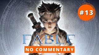 Fable Full Game Walkthrough No Commentary Let´s Play 13 [upl. by Erie]