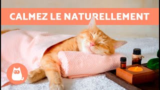 7 CALMANTS NATURELS pour CHATS 🐱✅  Comment détendre un chat SANS MÉDICAMENT [upl. by Nnylylloh637]