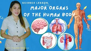 Science 4 Quarter 2 Major Organs of the Body [upl. by Veal]