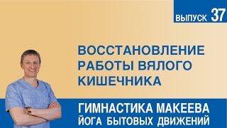 Восстановление работы вялого кишечника [upl. by Linad]