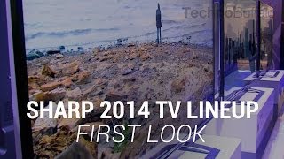 Sharp 2014 TV Lineup Sponsored [upl. by Breech453]