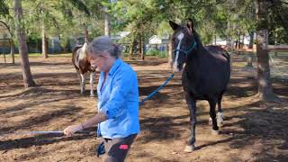 latimer farm Anne and Tommy video 101324 2 [upl. by Ynetsed]