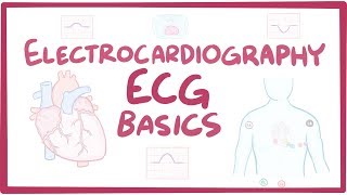 Electrocardiography ECGEKG  basics [upl. by Auohs660]