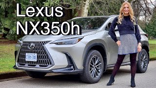 2022 Lexus NX350h hybrid review  The Lexus NX to buy [upl. by Iuqcaj262]