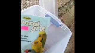 How to Breed a Gouldian  Part 1 Diet [upl. by Reifel]