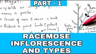 Racemose inflorescence and types  PART  1   Morphology of flowering plants  Bio science [upl. by Petronella339]