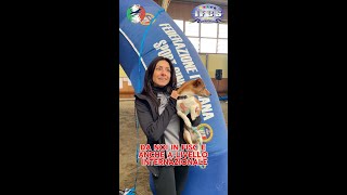 FINALE NAZIONE AGILITY DOG E PARAGILITY 🏆  Michela e Joy [upl. by Niriam]