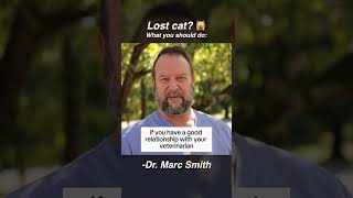 Need Help Finding a Lost Cat Try These 4 Steps by Marc Smith DVM MS [upl. by Lori807]