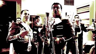 SON DE LA VAQUILLA  MARIACHI NUEVO TECALITLAN  MARIACHI CHANNEL STUDIO SESSIONS [upl. by Eileen445]