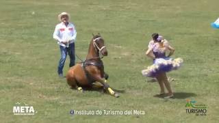 Show Ecuestre de Fugitivo el caballo que baila joropo [upl. by Aiynot451]