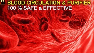 90 Mins Blood Circulation Purification amp Cleansing Subliminal Frequency  Pure Binaural Beats SG12 [upl. by Aiblis]