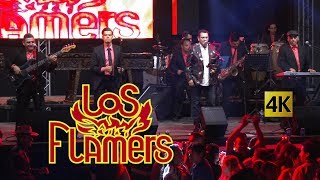 Los Flamers  Flamazo Navideño en vivo 4K  Navidad 2023 [upl. by Rothenberg254]