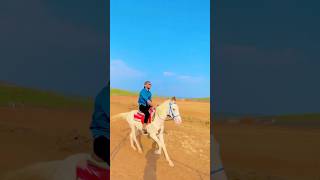 Epic Horse Riding Experience  Horse Riding for Fun and Freedom [upl. by Parhe]