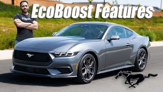 2024 FORD Mustang Eco Boost Premium Features  Worth it Over the GT [upl. by Akilam]