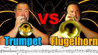 TRUMPET VS FLUGELHORN  Which is a Better Solo Instrument WAMozart  Alleluia [upl. by Onivla341]