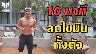 Level 1 10 นาที ลดไขมันทั้งตัว กระชับกล้ามเนื้อ ที่บ้าน สำหรับมือใหม่  Home Workout [upl. by Limbert]